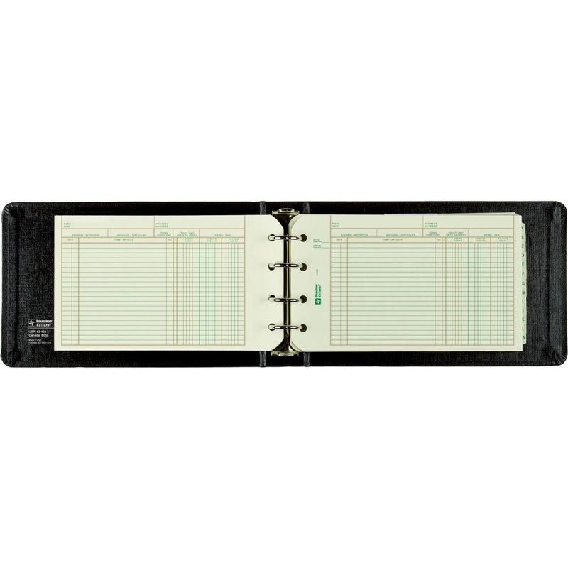 Blueline Mini Ledger System, B055 Ledger