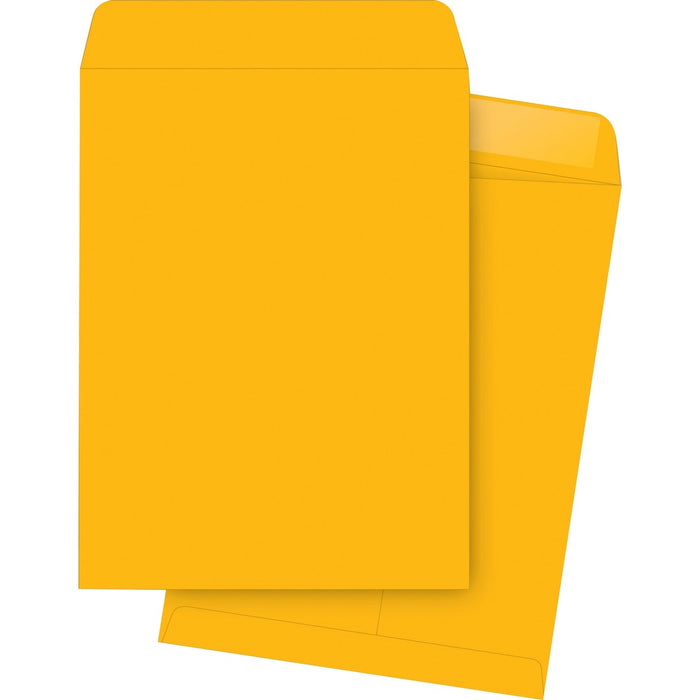 Business Source Kraft Gummed Catalog Envelopes 10x15"