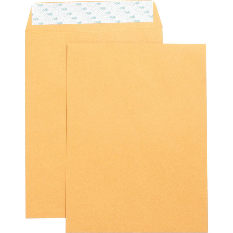 Business Source Peel & Seal Kraft Catalog Envelopes - 9" Width x 12" Length - 28 lb - Kraft - 250 / Box - Brown Kraft