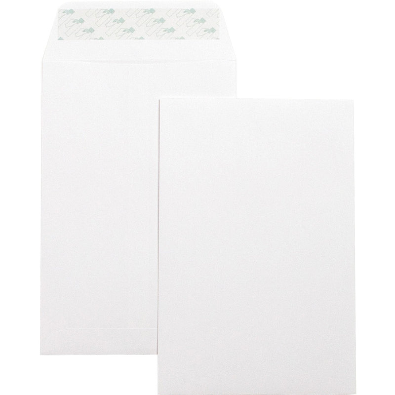 Business Source Self-Seal 6"x9" Catalog Envelopes