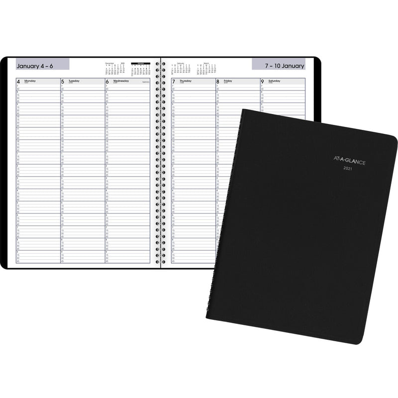 At-A-Glance Professional Appointment Book