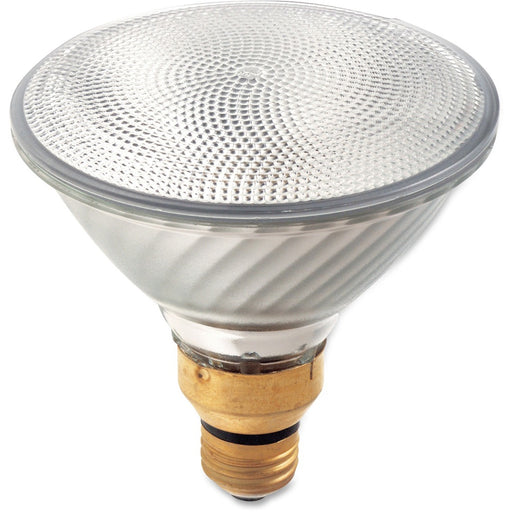 Satco 60-watt PAR38 Halogen Bulb - The Supply Room
