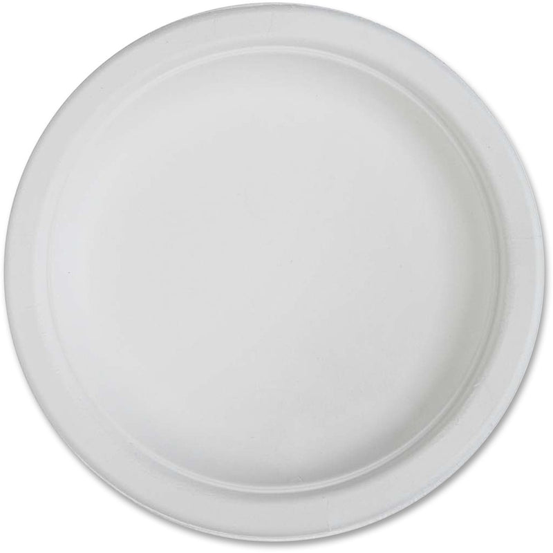 Genuine Joe Compostable Plates