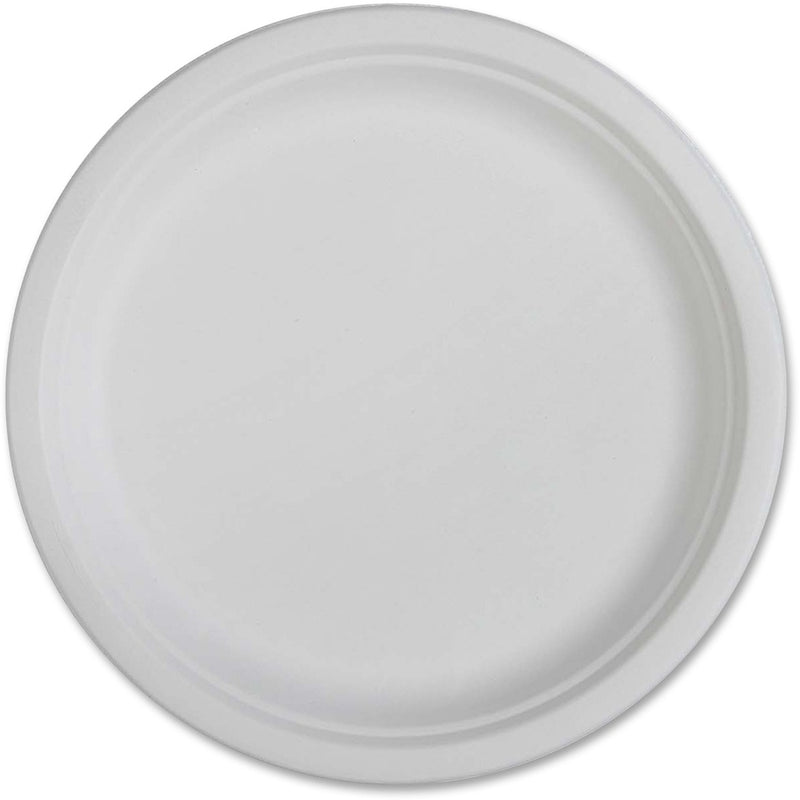 Genuine Joe Compostable Plates
