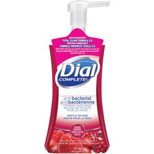 Dial Complete Foam Soap