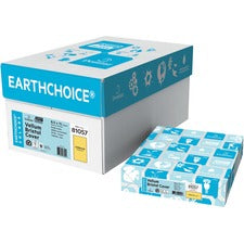 Domtar EarthChoice Copy & Multipurpose Paper