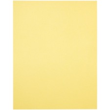 [8 1/2" x 11" - 24lb] Domtar EarthChoice Colored Paper - Letter - 8 1/2" x 11" - 24 lb Basis Weight 500/pack