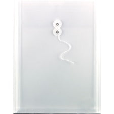 Geocan Translucent Polyethylene Envelope