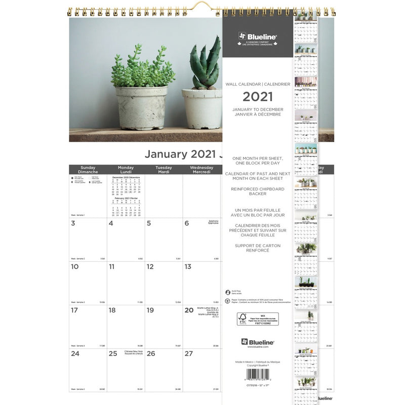 Blueline Monthly Wall Calendar 2021, Succulent Plants