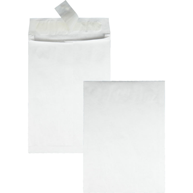 Quality Park Tyvek Plain Expansion Envelopes